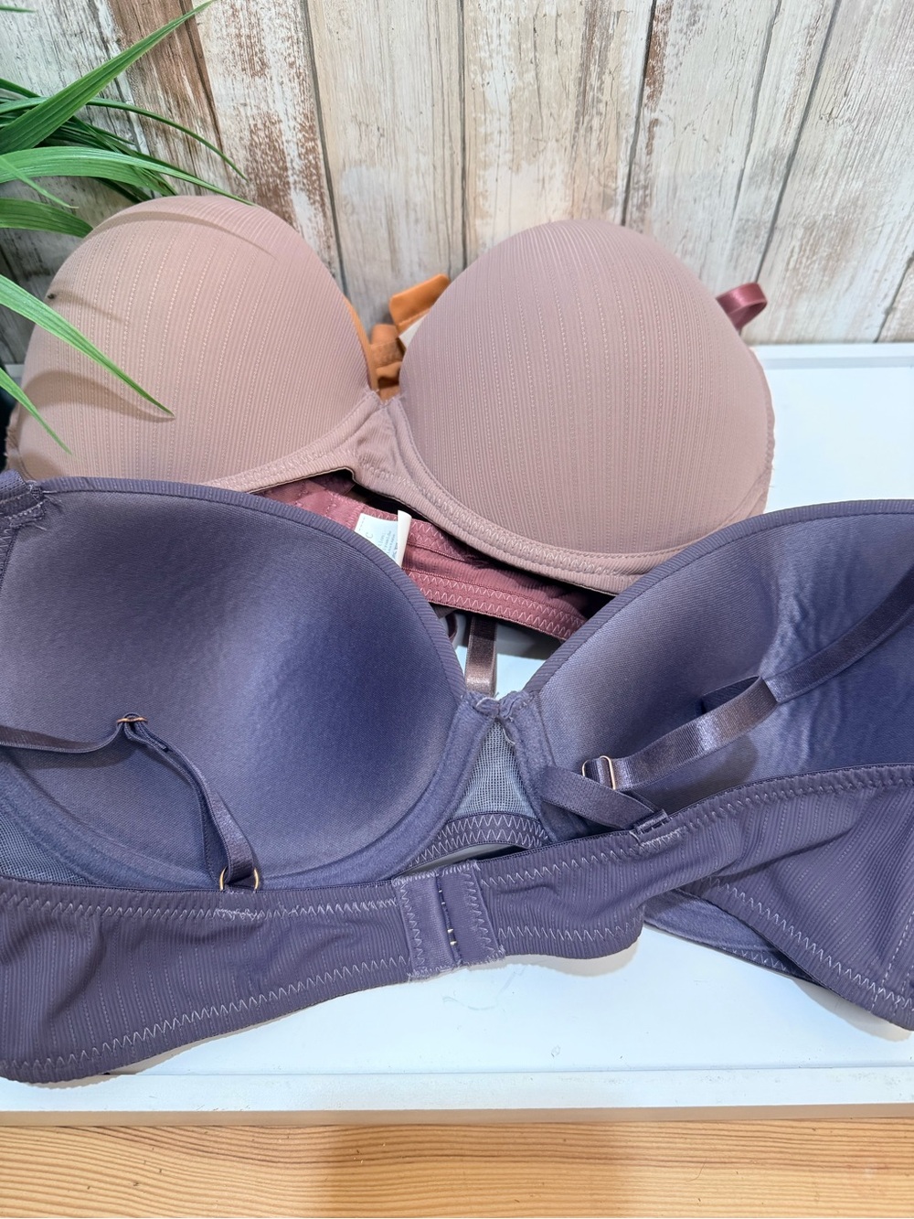 NWOT Women’s Seamless T-Shirt Bra - Multicolor 85C/38C - Picture 2 of 3
